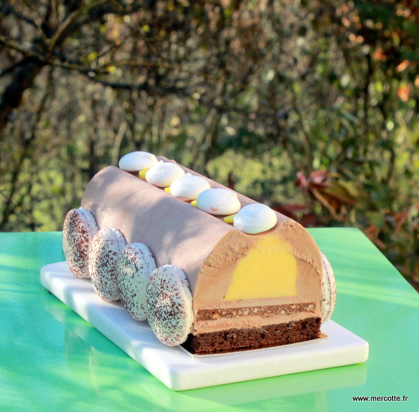 Bûche de Noël 2013 douce et acidulée – La cuisine de Mercotte :: Macarons,  Verrines, … et chocolat